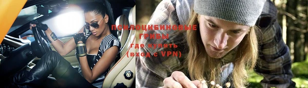 стафф Гусь-Хрустальный