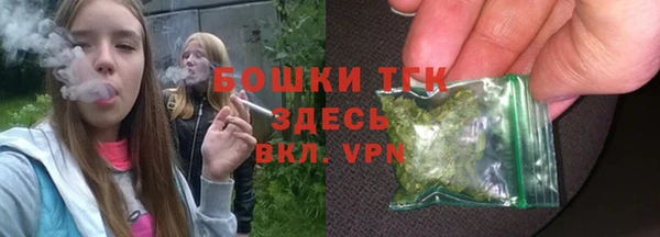 стафф Гусь-Хрустальный