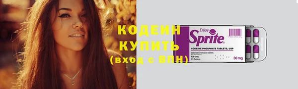 дурь Гусиноозёрск