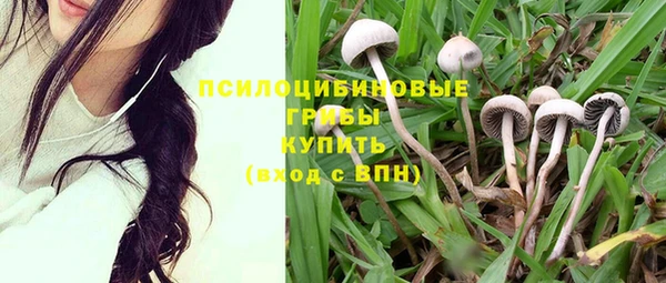 дурь Гусиноозёрск