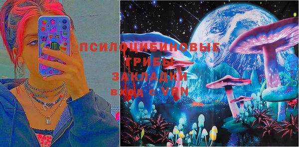 дурь Гусиноозёрск
